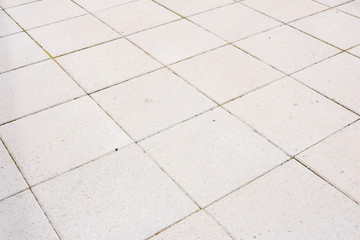 Square street tile. There is earth in the seams