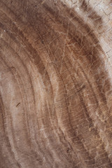 Dark wood texture background surface with old natural pattern