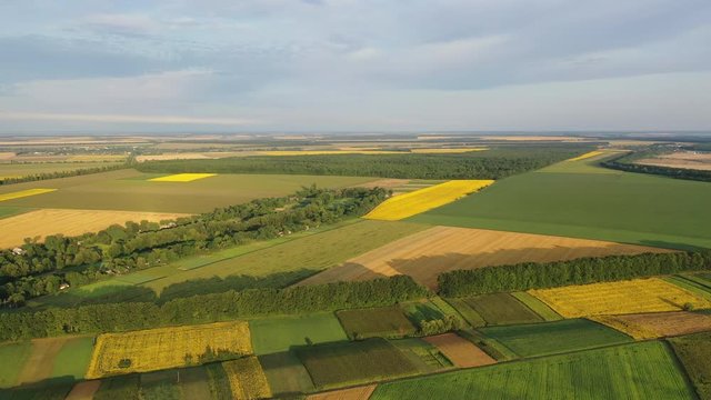 4k Aerial video view from a height, fields with ripe gold-colored wheat