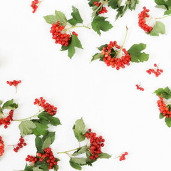 red viburnum berries twigs isolated pattern on white background. copy space. 