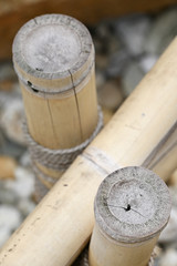 Naklejka premium Low bamboo fence - top view of cut.