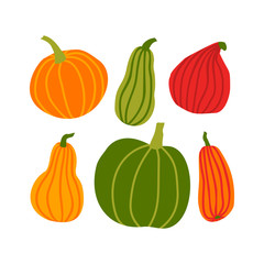 Hand draw Pumpkin Set in simple Doodle Style. Vector illustration colorful Pumpkins of different shapes and sizes isolated on white Background. Template for Halloween, Thanksgiving, Harvest
