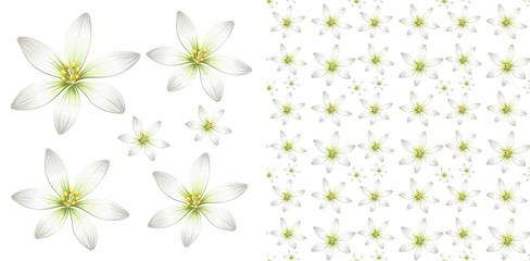 Seamless background design with white flower