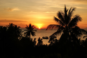 Obraz premium Silhouettes of palm trees and ship on the background of orange sunset on the sea