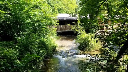 Scenic view in the forest with a flowing creek in the Chickasaw National Recreational Area | Oklahoma