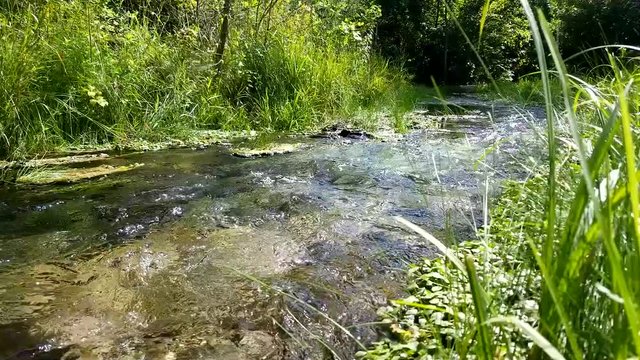 Scenic view in the forest with a flowing creek in the Chickasaw National Recreational Area | Oklahoma