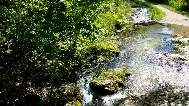 Scenic view in the forest with a flowing creek in the Chickasaw National Recreational Area | Oklahoma