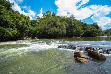 Downloading, Water, Autumn, Lake, Rainforest