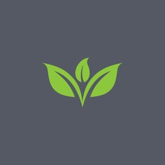Leaf logo design template vector spa & esthetics