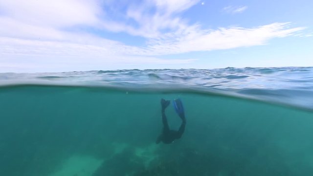 Split underwater shot of woman diving on deep coral reef in Western Australia