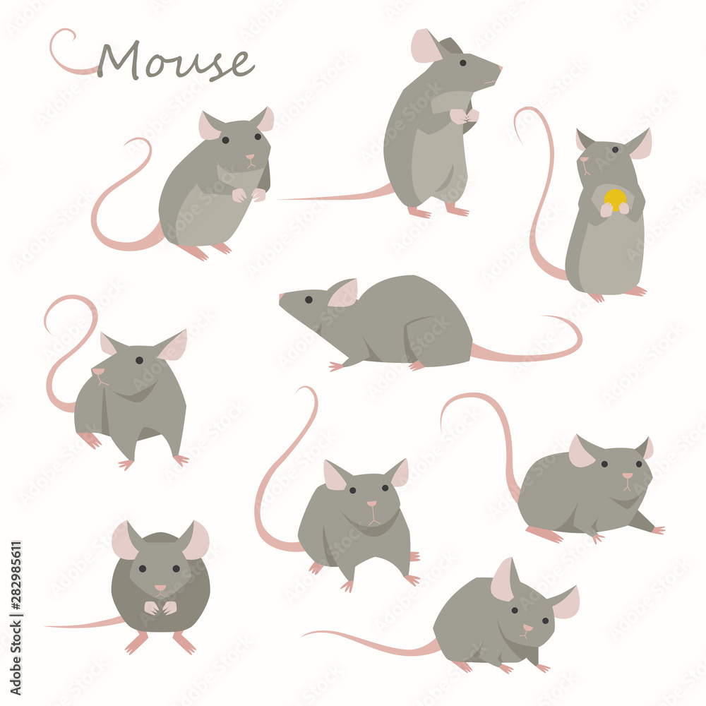 Poster cute mouse character set. flat design style minimal vector illustration.
