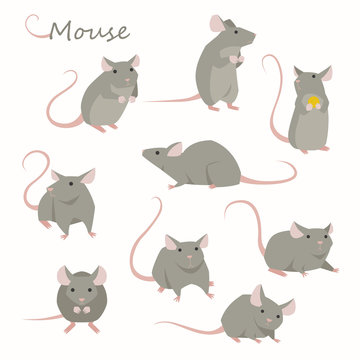 Cute mouse character set. flat design style minimal vector illustration.