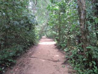 Cahuita, Costa Rica 2