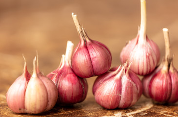 Garlic in the heads on the marble table