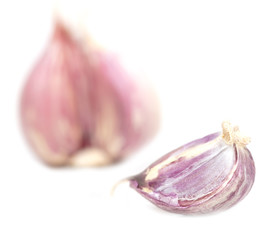 Garlic on a white background