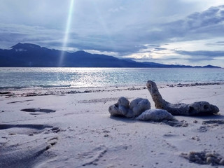 beautiful beach in Gorontalo © Vicco