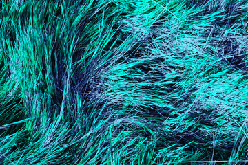 bright neon plants of emerald color. abstraction