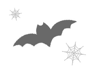 クモの巣とコウモリ