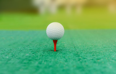 Golf balls on pins With grass which, Close up view of golf ball on golf course