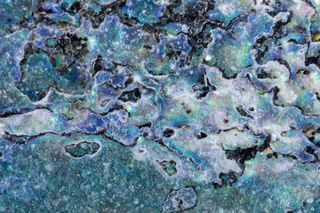 Shiny nacre of Paua or Abalone shell background