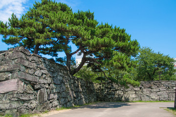 Fototapeta premium 徳島城