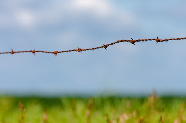 rusty barb wire farm fence close-up