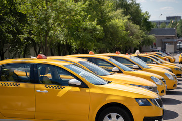 Photo of several yellow taxi on street in summer - obrazy, fototapety, plakaty