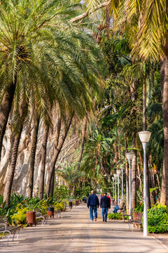 summer Paseo del Parque in Malaga town Costa del Sol resort Spain