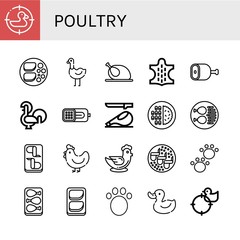 Set of poultry icons such as Duck, Chicken breast, Ostrich, Chicken, Animal, Ham, Rooster, Meat, Chicken leg, wings, Hen , poultry