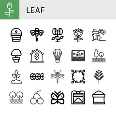Set of leaf icons such as Rose, Fertilizer, Dragonfly, Carnivorous plant, Flower bouquet, Tree, Eco, Salad, Cherry, Sprout, Leaves, Floral design, Dill, Butterfly, Compost , leaf