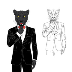 Panther man dressed up in tuxedo. Anthropomorphic fashion wild cat animal illustration. Hipster Black Leopard.