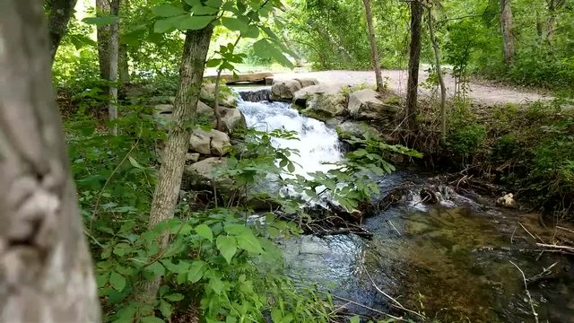 Scenic view in the forest with a flowing creek in the Chickasaw National Recreational Area | Oklahoma