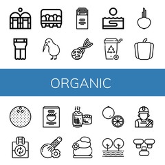 Set of organic icons such as Greenhouse, Planter, Eggs, Kiwi, Jam, Gmo, Thalassotherapy, Recycle bin, Onion, Pepper, Coconut, Reuse, Corn, Herbal, Sticky rice, Lithotherapy , organic