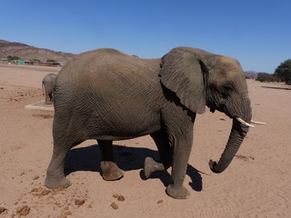 Namibie