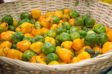 yellow pepper and green pepper in basket