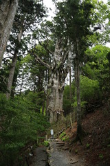 玉置神社