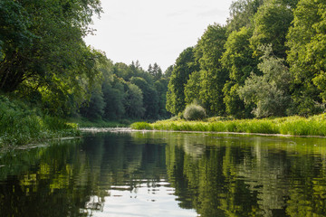 Fototapeta na wymiar Calm waters of the river surrounded by the green forestry with bright skies
