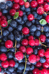 Fresh forest blueberries and frozen currants. Close-up. Top view