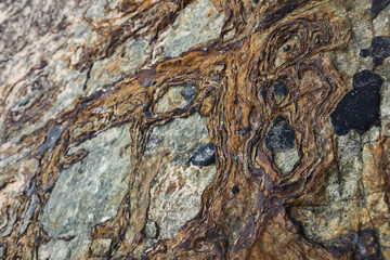 Stone with a beautiful Pattern	