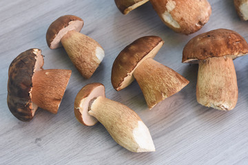 Boletus edulis, cep, porcino, porcini, mushroom. Fresh mushroom on cutting board, Food background