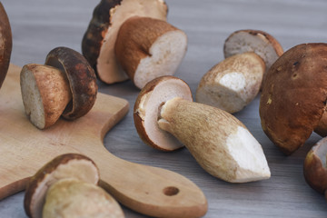 Boletus edulis, cep, porcino, porcini, mushroom. Fresh mushroom on cutting board, Food background