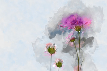 Digital painting of cosmos flower on cool tone background - obrazy, fototapety, plakaty