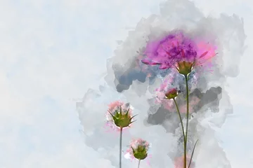 Fototapeten Digital painting of cosmos flower on cool tone background © Nithid Sanbundit