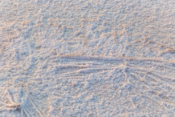 The texture of salt deposited on a salt lake