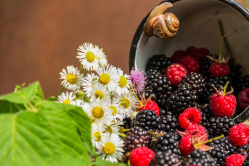 Obraz na płótnie Canvas Ripe juicy blackberries, raspberries and chamomile flowers on an old wooden background.