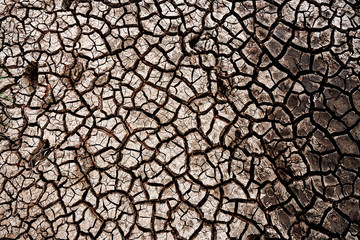 The very dry, cracked soil