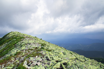Naklejka premium mountain peak covered with alpine pines and scree of big green stones. grey clouds