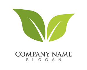 Vector leaves green nature logo template symbol