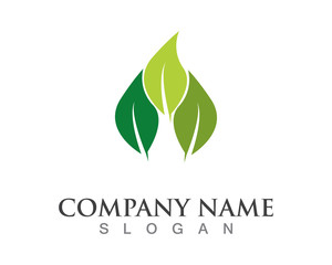 Vector leaves green nature logo template symbol