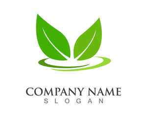 Vector leaves green nature logo template symbol